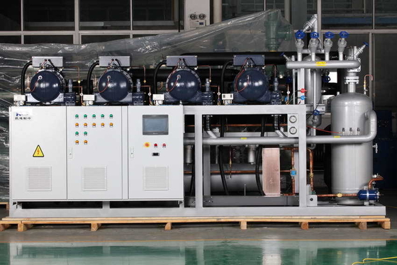 Multi-compressor condensing unit with screw compressors