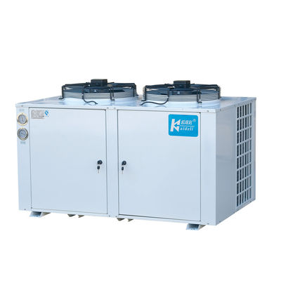 Unit Pendingin Penyimpanan Dingin Suhu Rendah Chiller Fit R22 Refrigerant