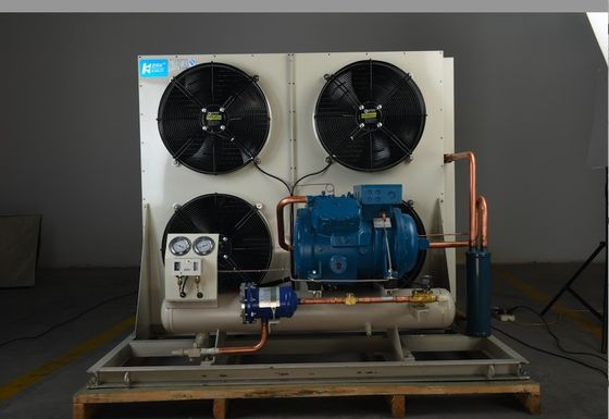 Frost Temp Monoblock Cold Room Condensing Unit Sistem Pendingin Untuk Cold Storage